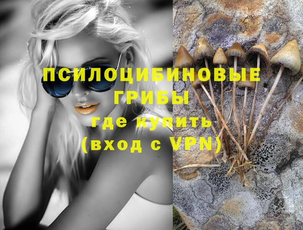 стаф Новодвинск