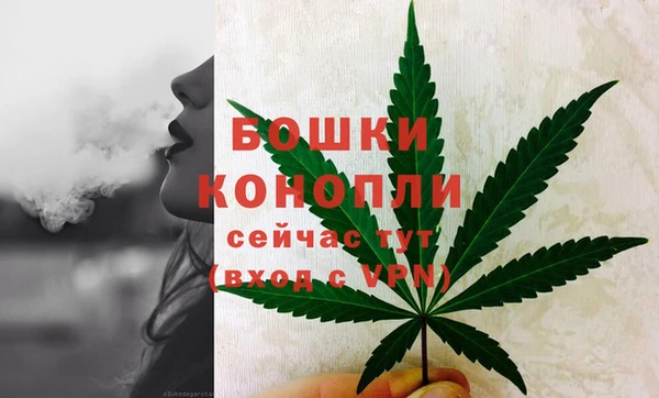 стаф Новодвинск