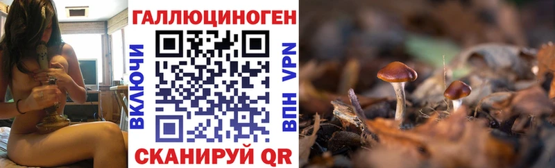 kraken сайт  Кирово-Чепецк  Псилоцибиновые грибы ЛСД 