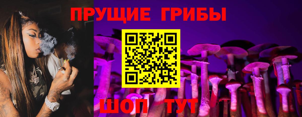 Псилоцибиновые грибы Psilocybine cubensis Кирово-Чепецк